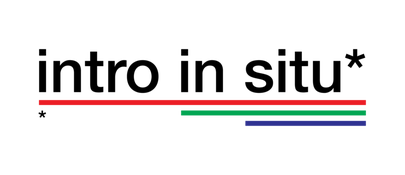 logo intro in situ